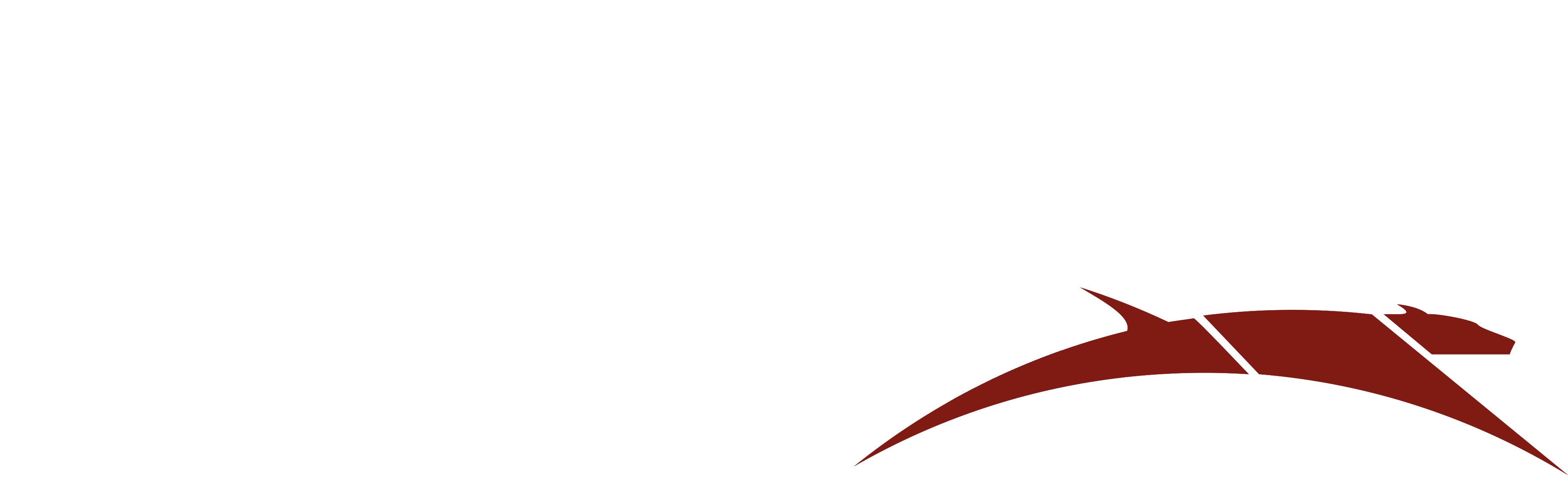 Logo Gerbo